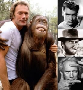Clint eastwood poses with an orangutan, with a collage of his film stills